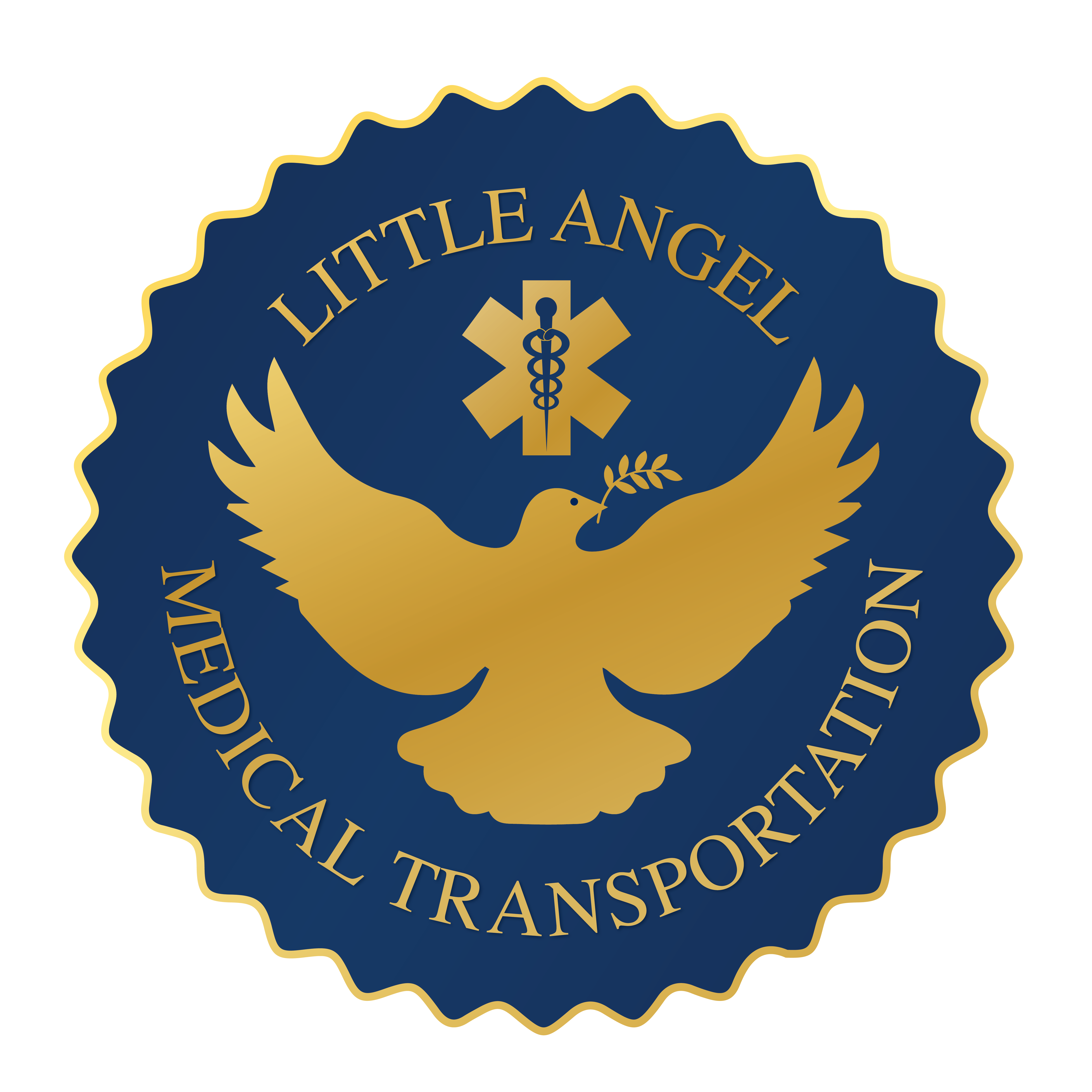 LITTLE ANGEL MEDICAL TRANSPORTATION LLC